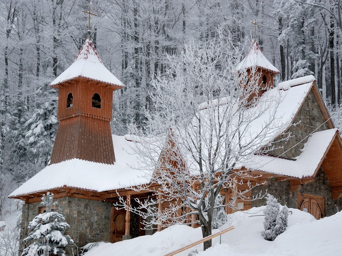 Śnieżnica